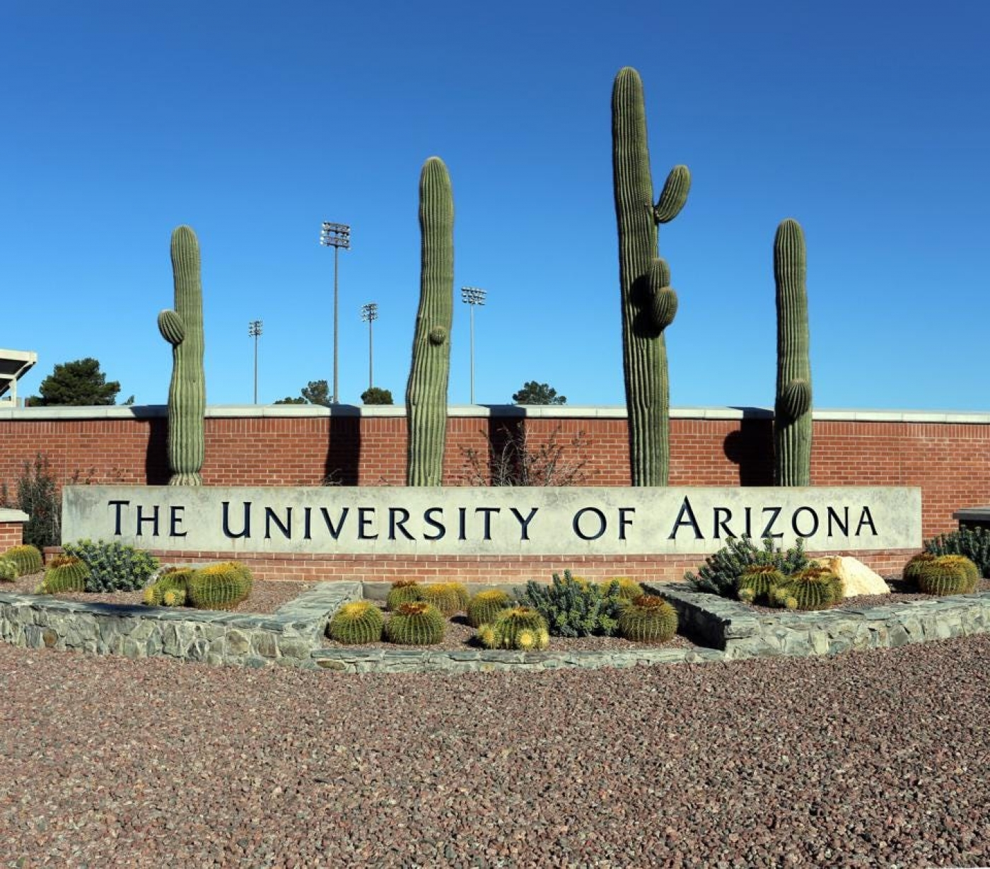 INTO Group- The University of Arizona